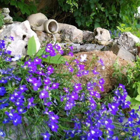 Villa Murgia ソラナス エクステリア 写真