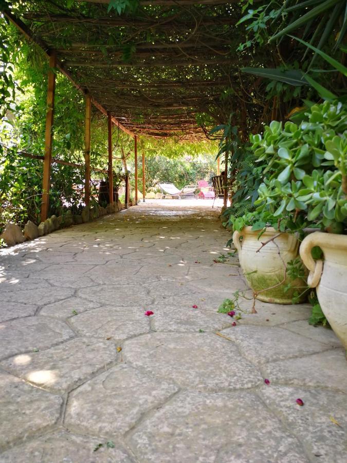 Villa Murgia ソラナス エクステリア 写真