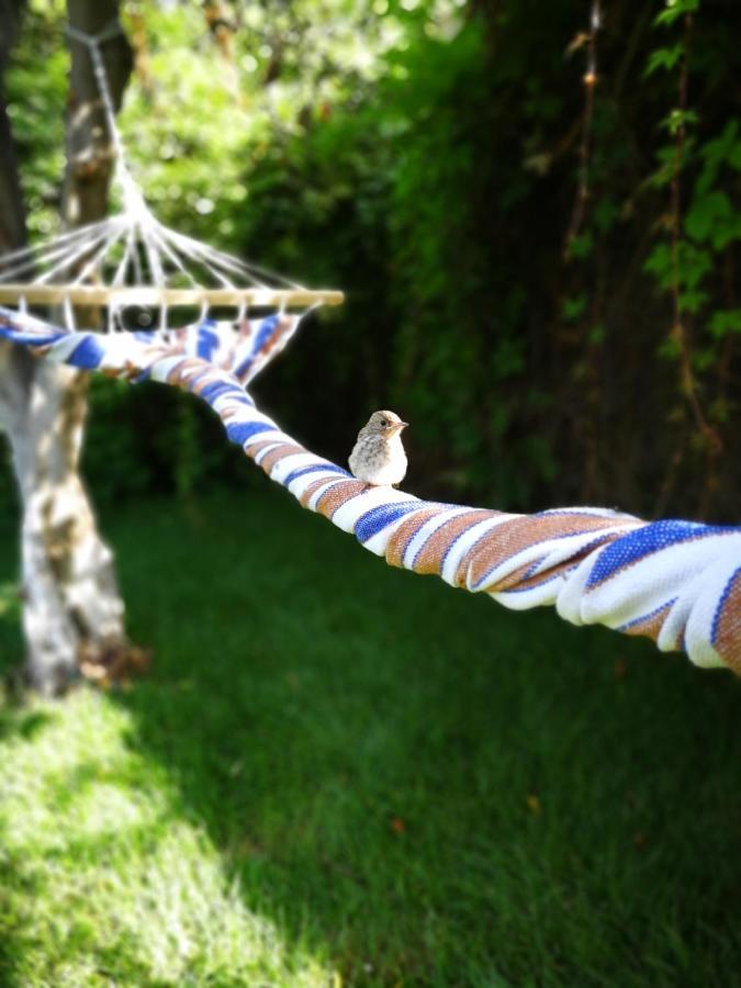 Villa Murgia ソラナス エクステリア 写真